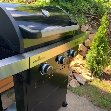 Moderne Im Gruenen Mit Privatem Garten Daire